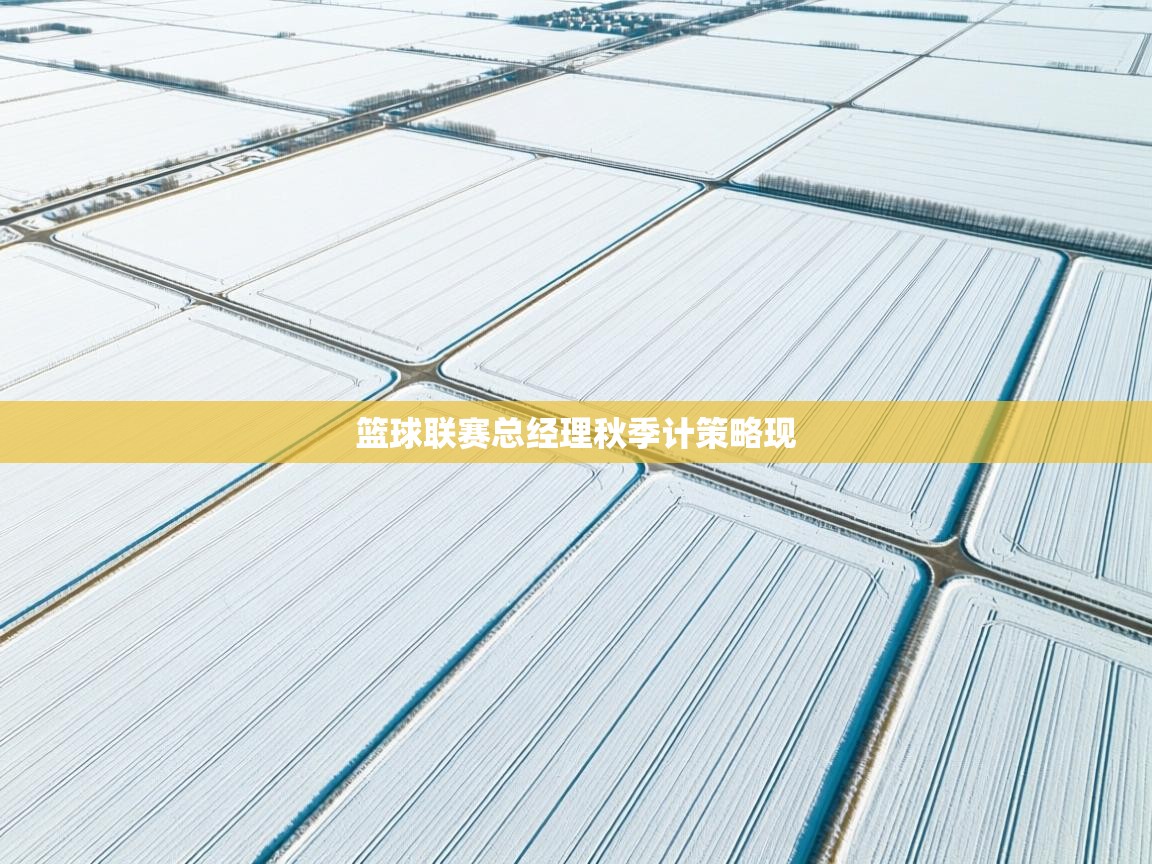 篮球联赛总经理秋季计策略现 第2张