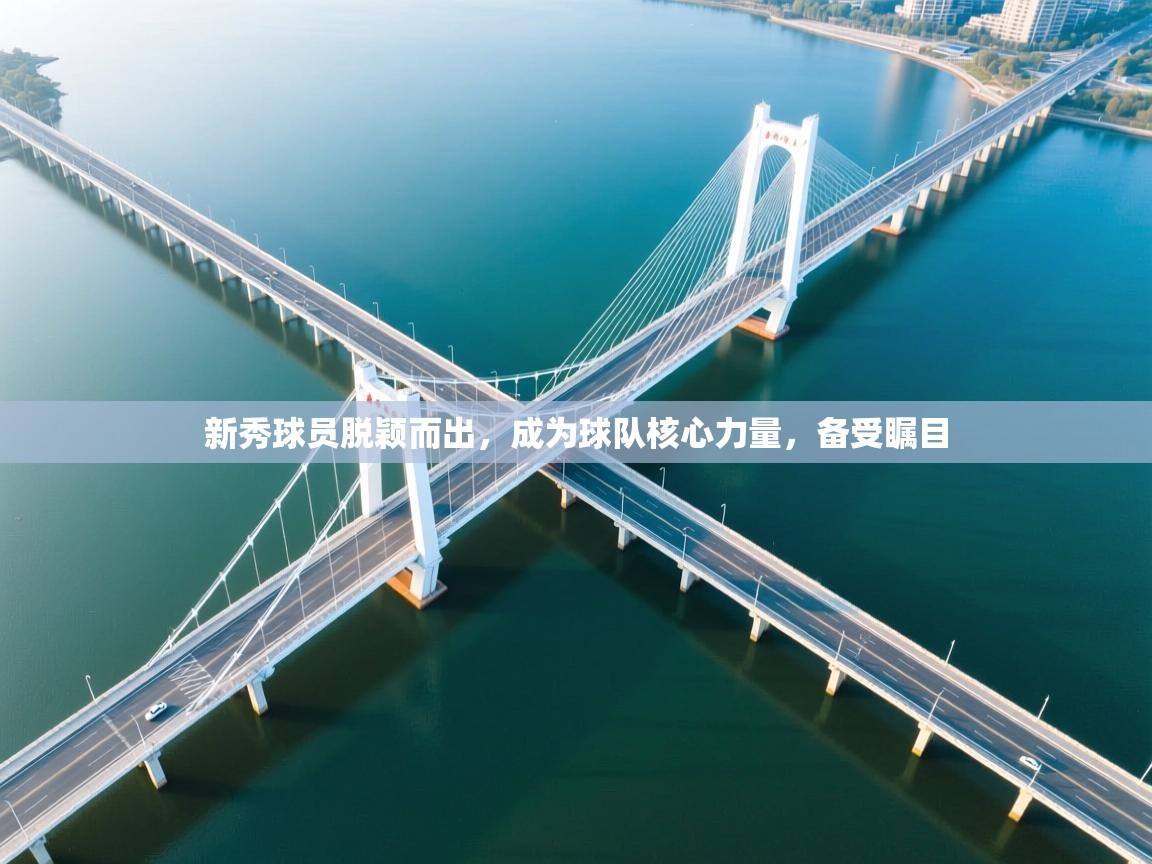 新秀球员脱颖而出，成为球队核心力量，备受瞩目  第2张